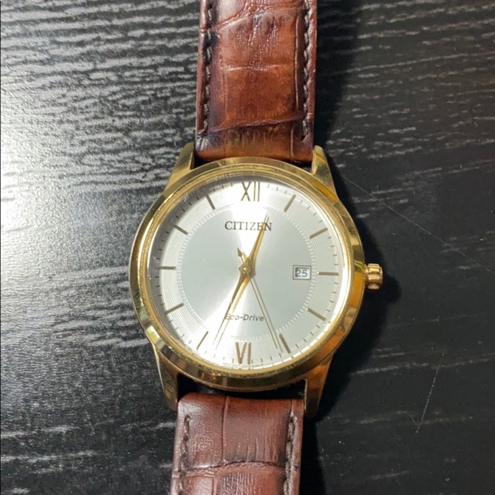 Citizen Eco-Drive Men's Leather Watch